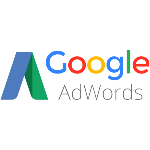 Google Ads certified partner logo